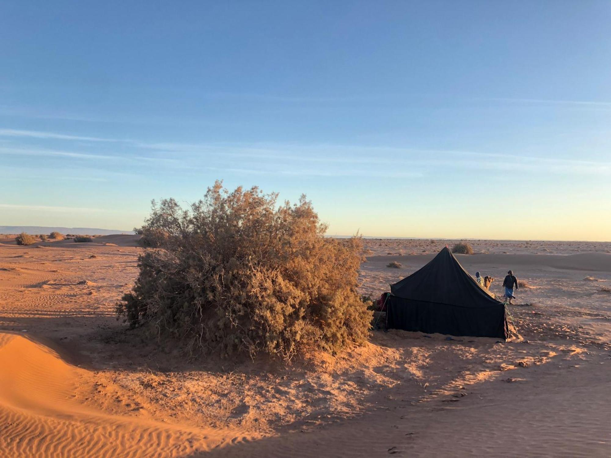 Hotel Nomads Life Style M’hamid El Ghizlane Exterior foto